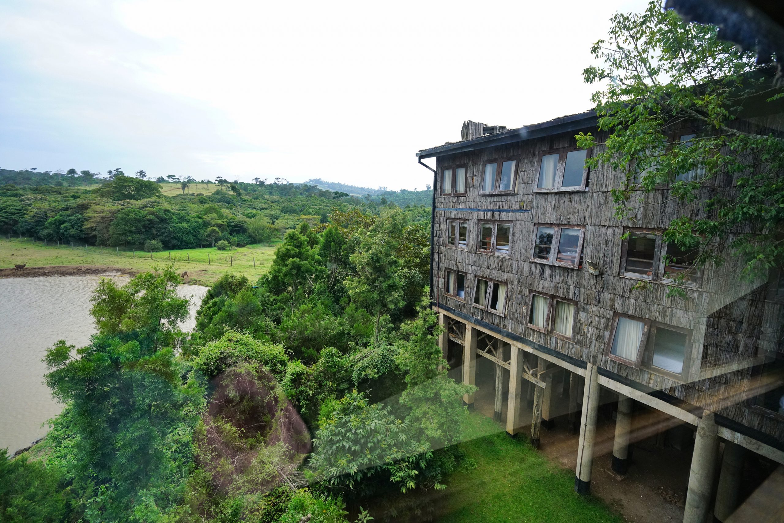 treetopslodge Safari in Kenya Paka Safaris